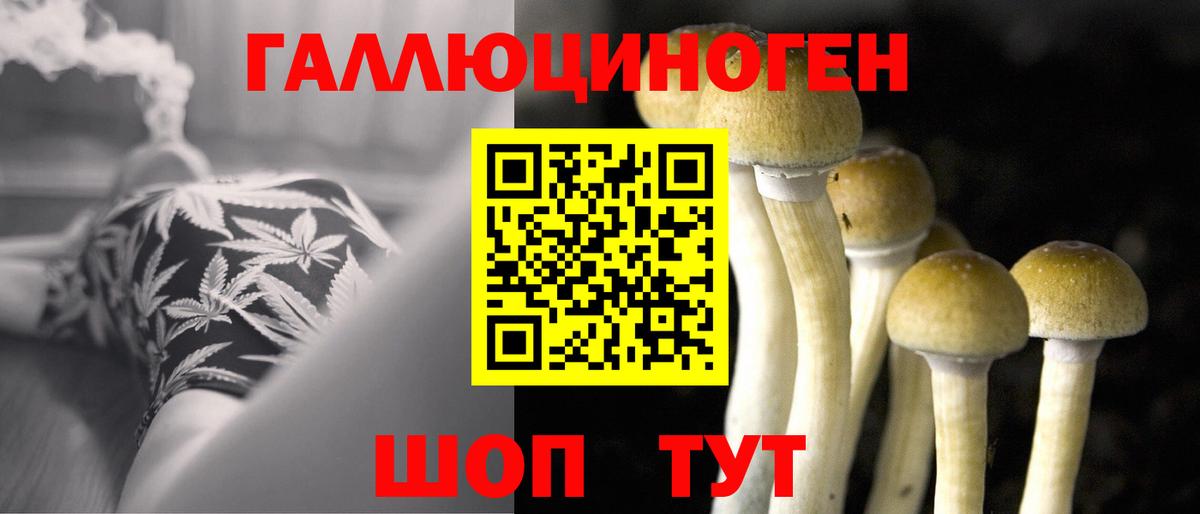 Саранск  Псилоцибиновые грибы мухоморы  Вход с VPN 